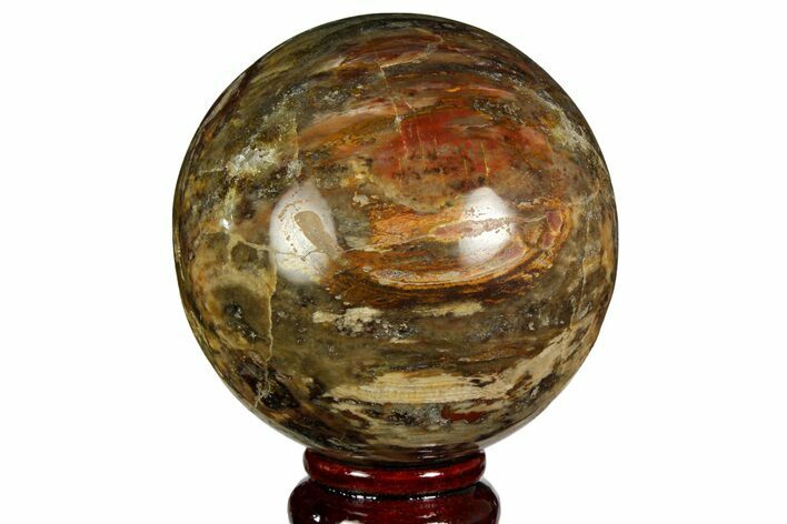 Colorful Petrified Wood Sphere - Madagascar #169144